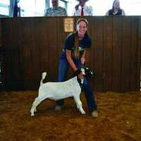 Goat Herdsmanship- Macy Hamlin